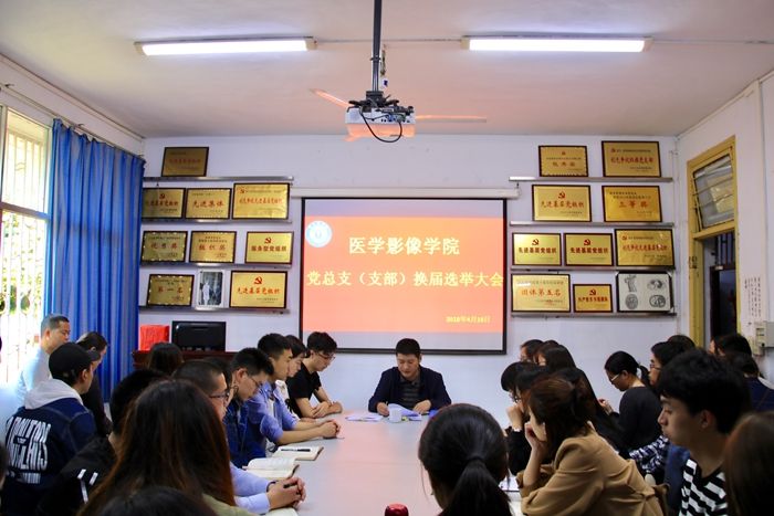 我院举行党总支委员会换届选举大会