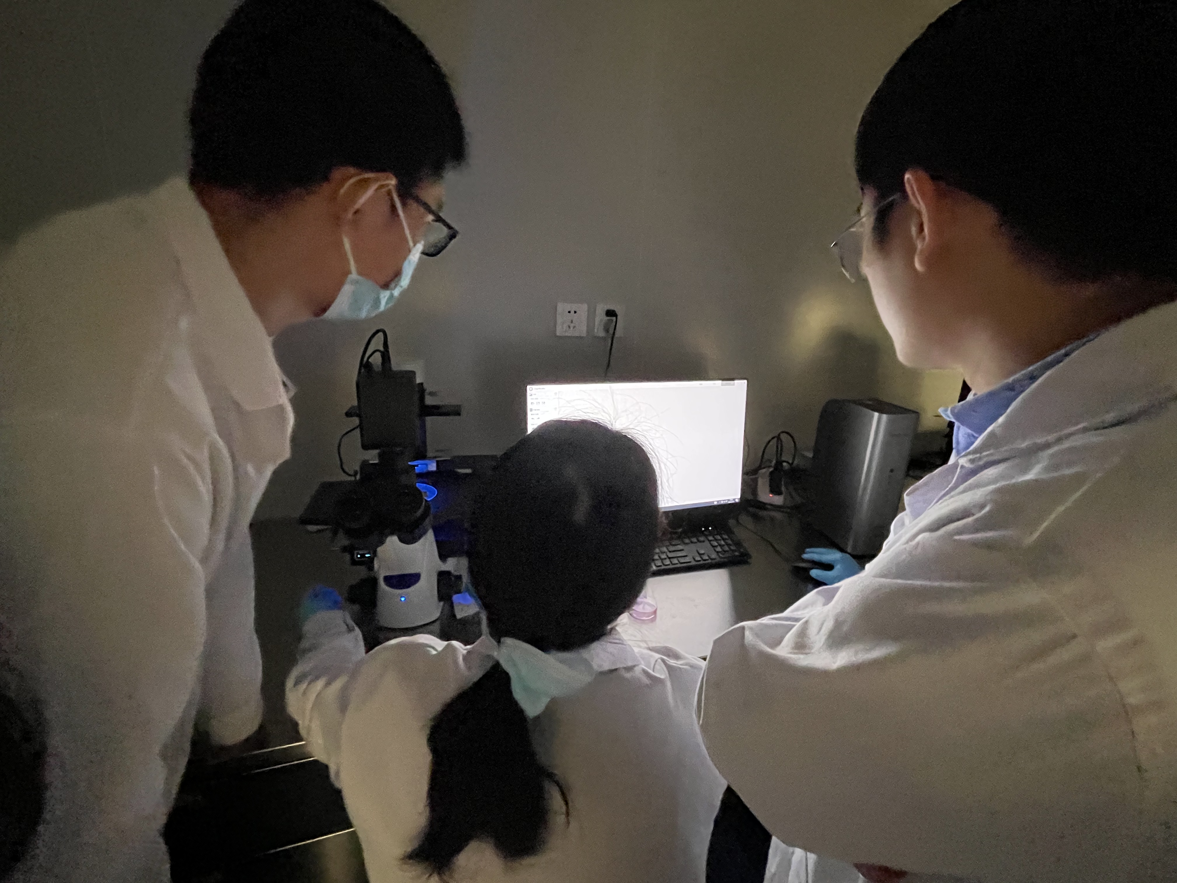 提升工作人员能力 助力科研人员创新-科技创新中心荧光显微镜操作培训