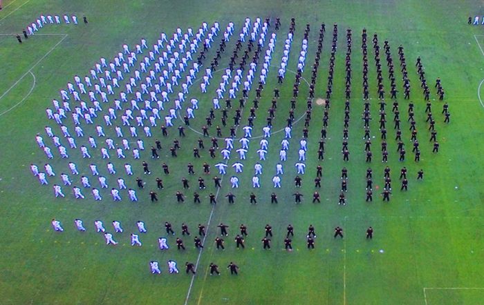 我院学子在第十四届春季校运动会中再创佳绩