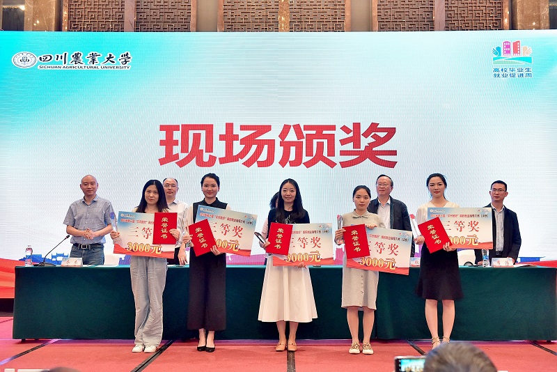 我校辅导员在四川省第三届高校就业指导大赛中获佳绩