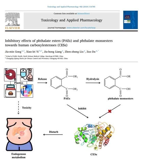 公共卫生学院本科生在国际高水平期刊发表学术论文