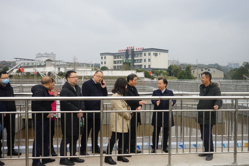 农工党学院支部赴西充县开展长江生态环境保护民主监督