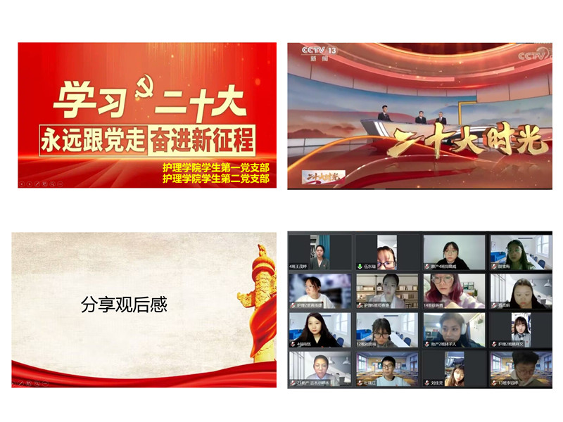 护理学院党委开展学习党的二十大精神主题活动