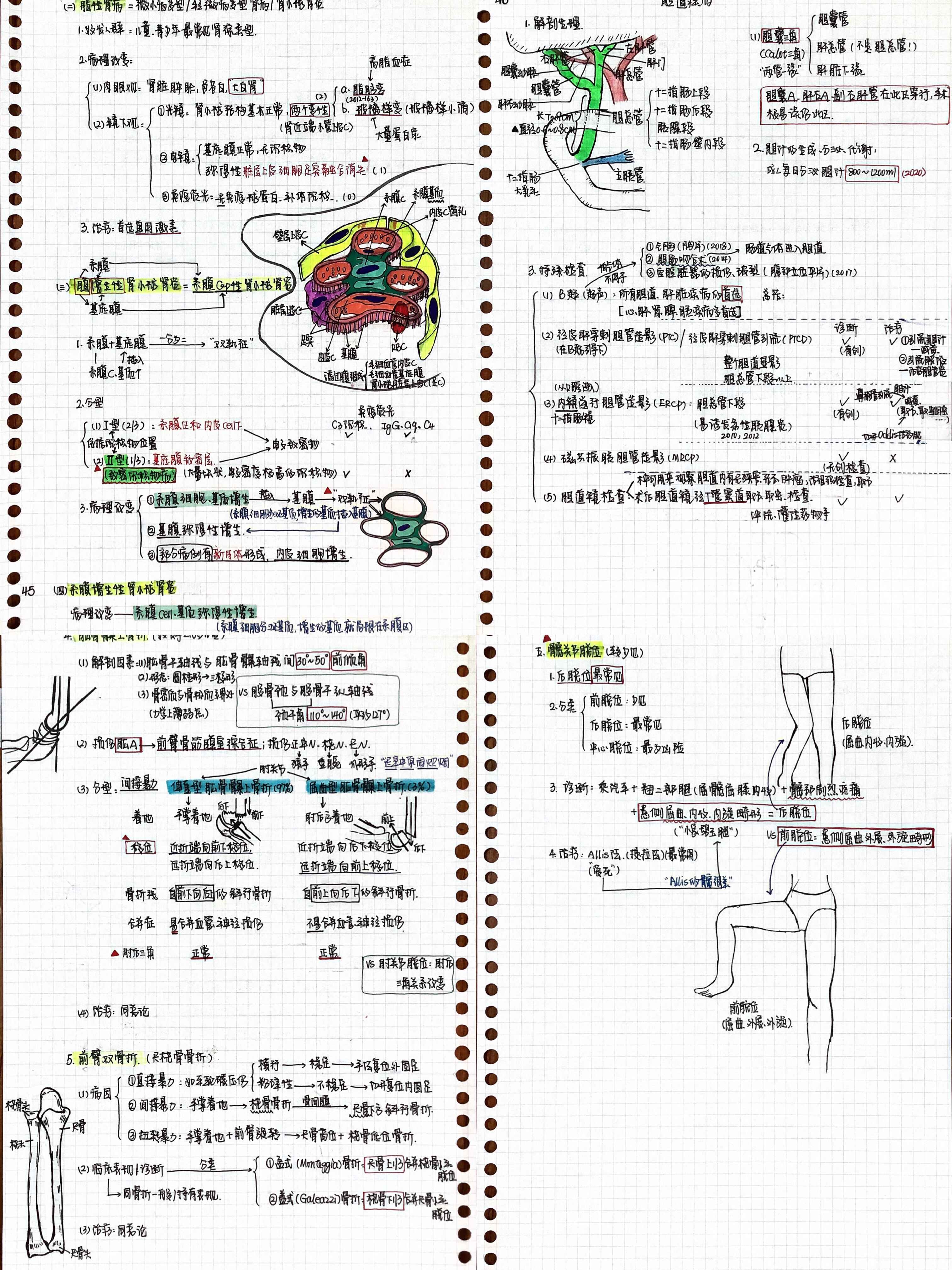 与榜样同行：2022年考研学子之最美笔记（一）