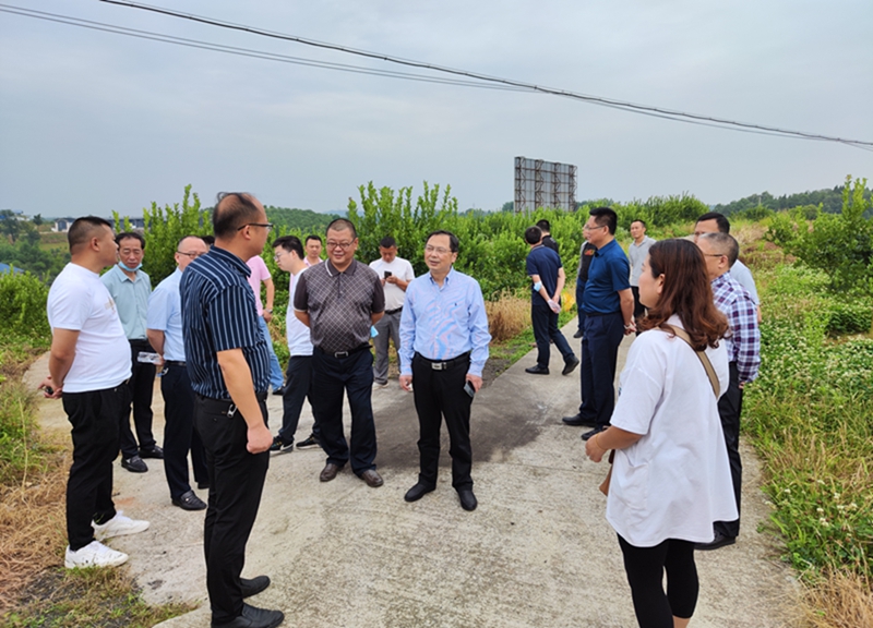 我校专家团队赴高坪佛门乡调研万亩佛手产业