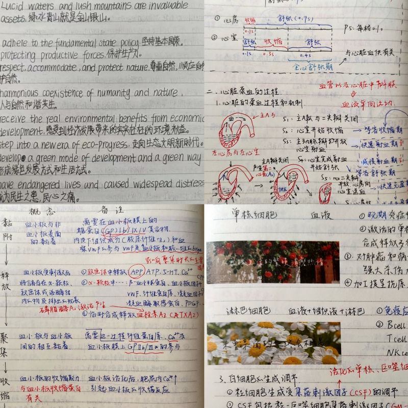 护理学院举办最美笔记大赛