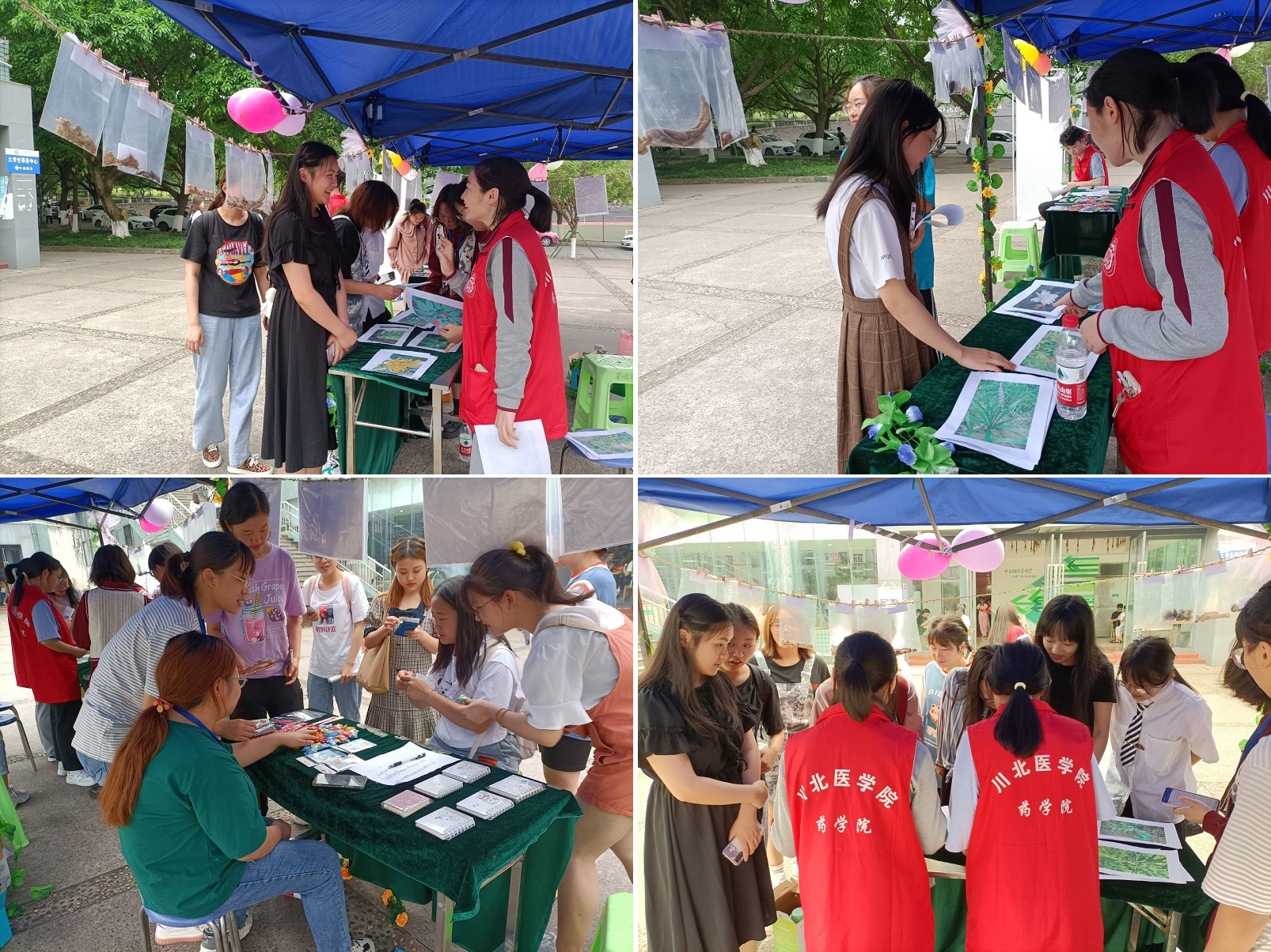 药学院“腊叶标本展”活动圆满结束