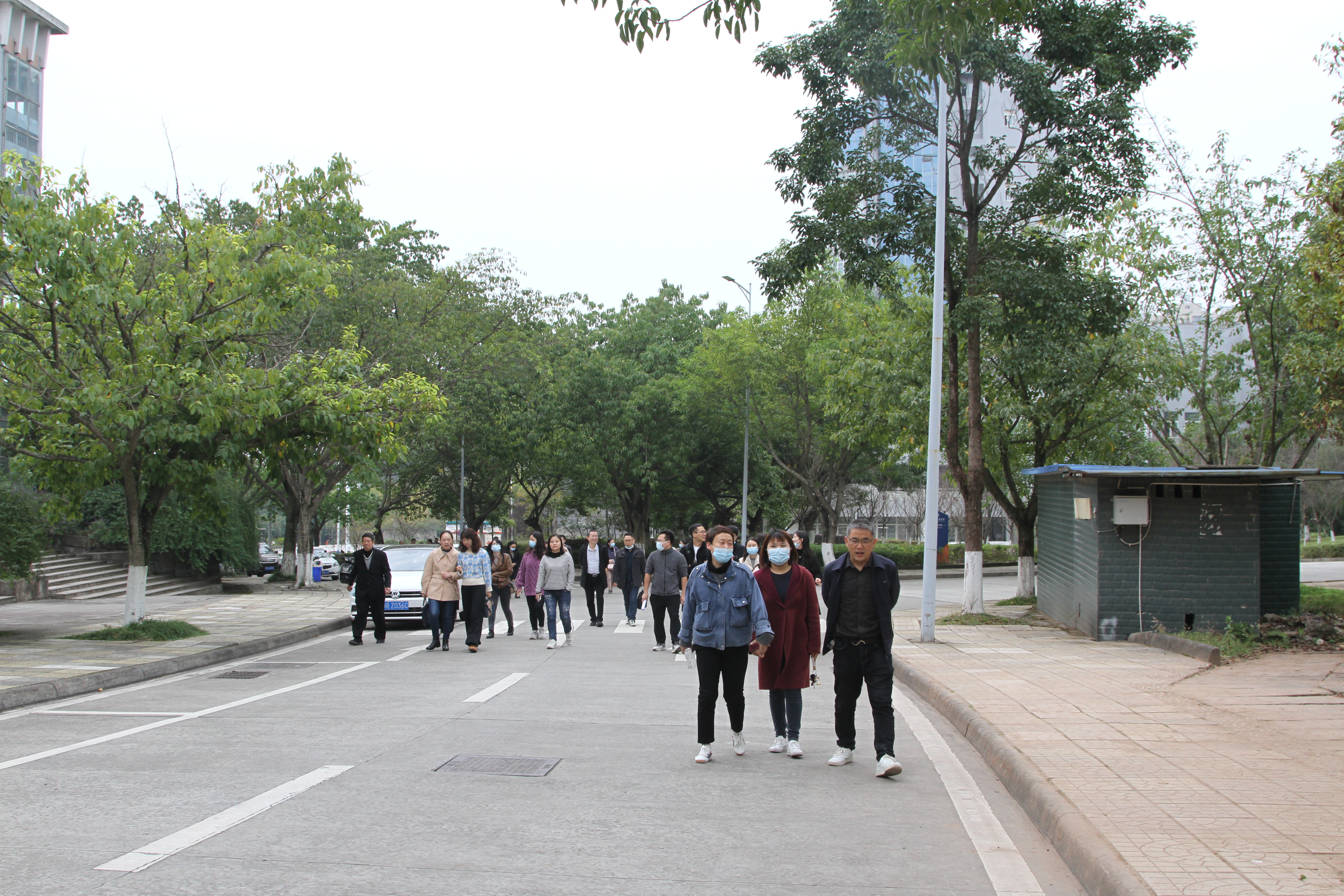 与健走同行，与健康同在