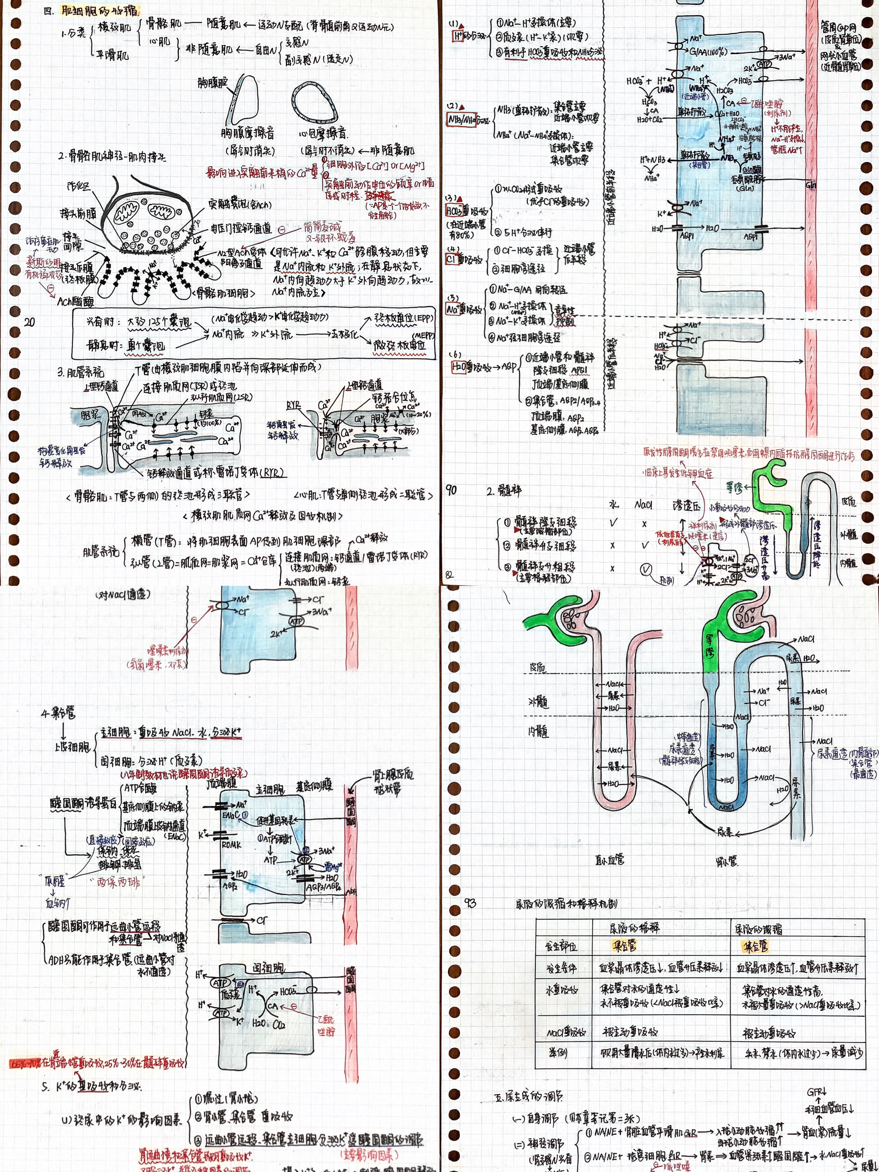 与榜样同行：2022年考研学子之最美笔记（一）