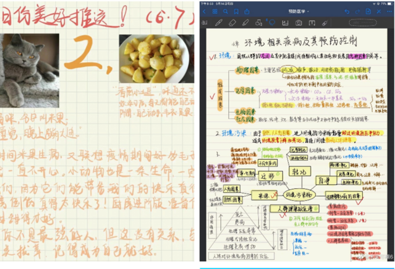 “用心抗疫、健康幸福”—— 我校2020年“5.25”大学生心理健康月系列活动圆满结束