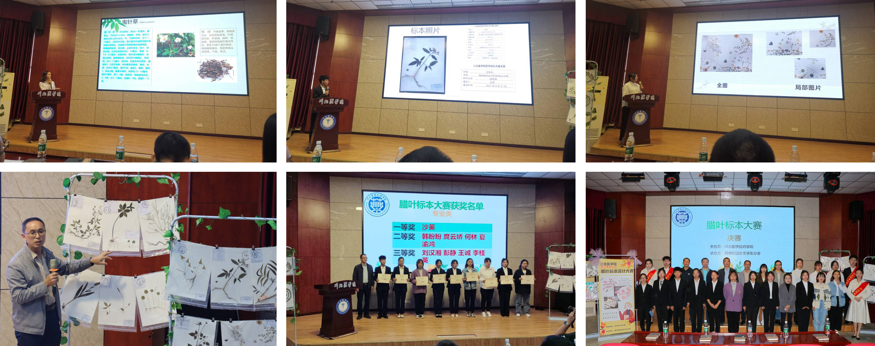 药学院第六届腊叶标本大赛顺利举办
