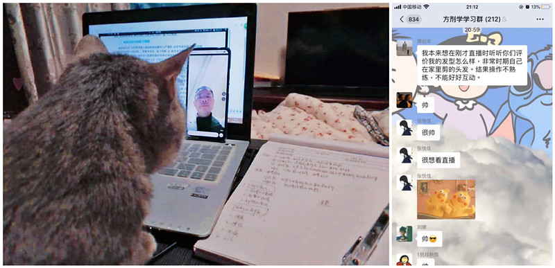 战“疫”网课进行时⑥：学习不延期 中西医在行动