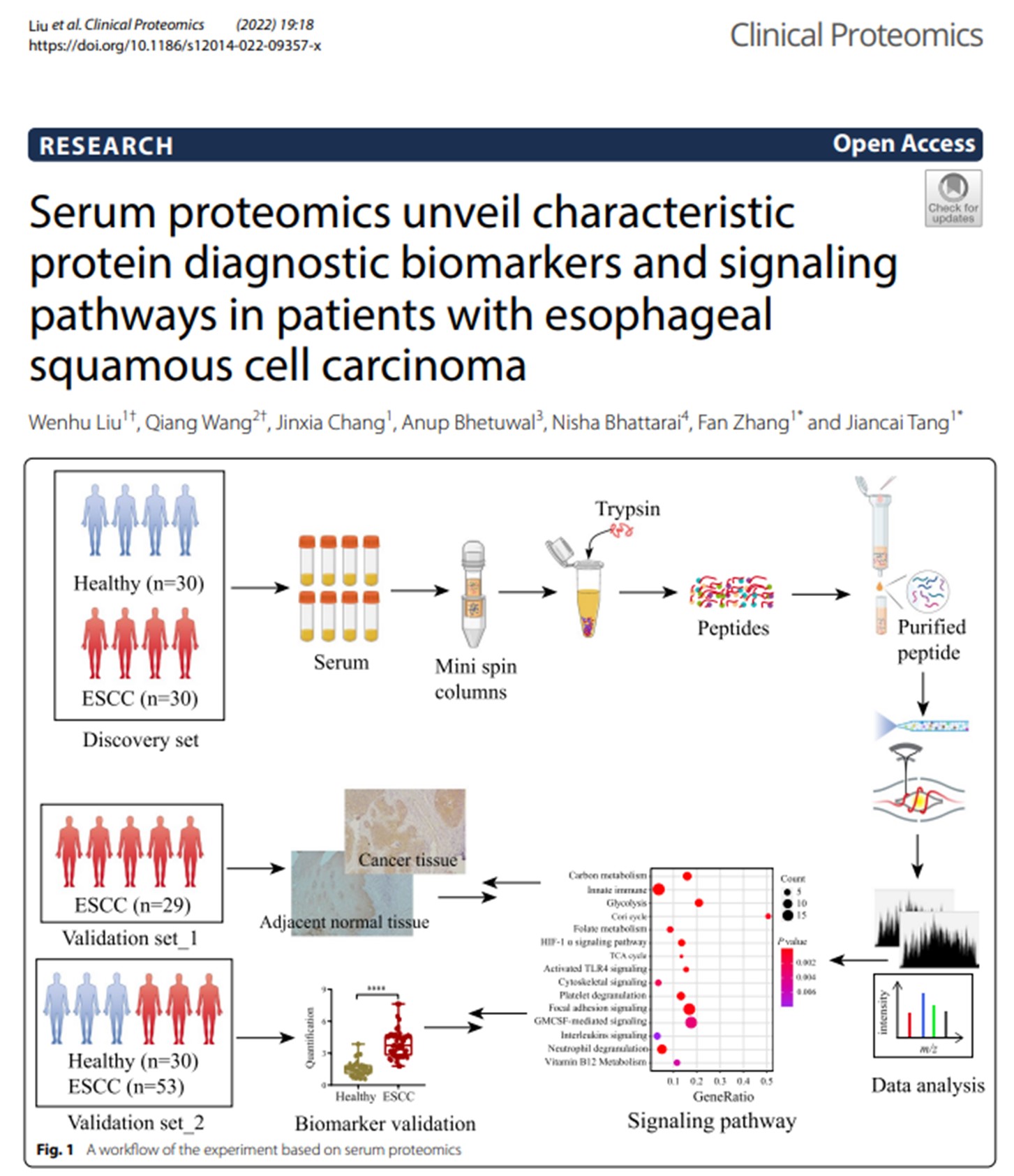 药学院教师刘文虎博士在期刊Clinical Proteomics上发表最新研究成果
