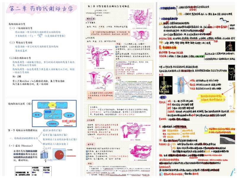 护理学院举办“晒笔记,亮学风”最美网课笔记评选活动