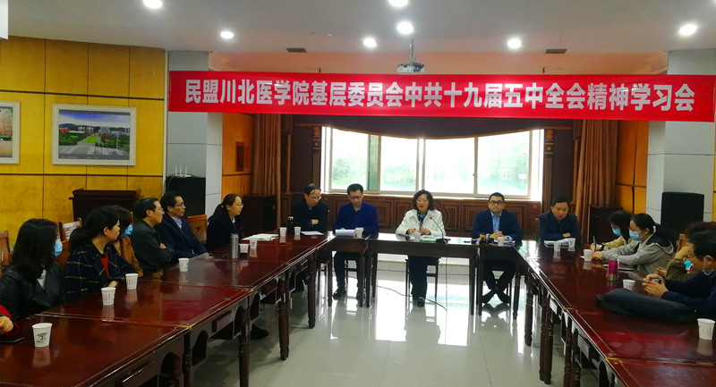 民盟学院基层委员会开展中共十九届五中全会精神专题学习活动