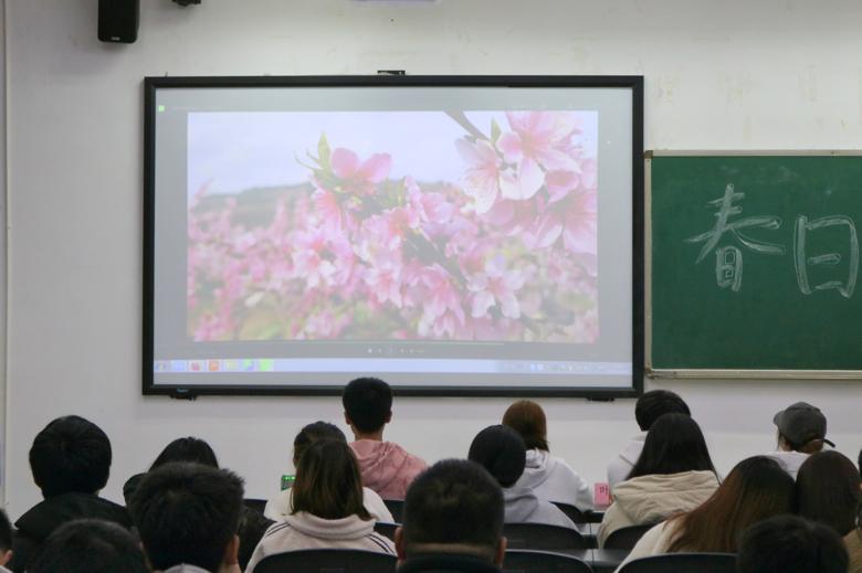 “社”彩斑斓绽风采，“团”聚青春绘未来