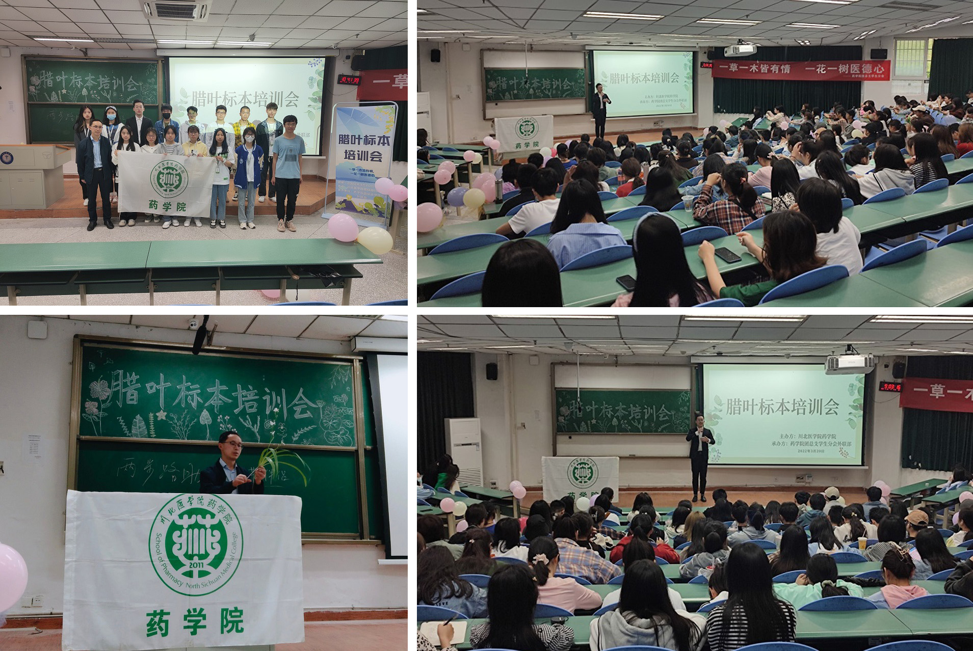 药学院腊叶标本制作培训讲座圆满结束