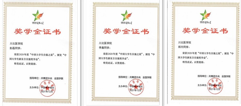 我校三名优秀学子喜获“2020年度中国大学生自强之星”荣誉称号