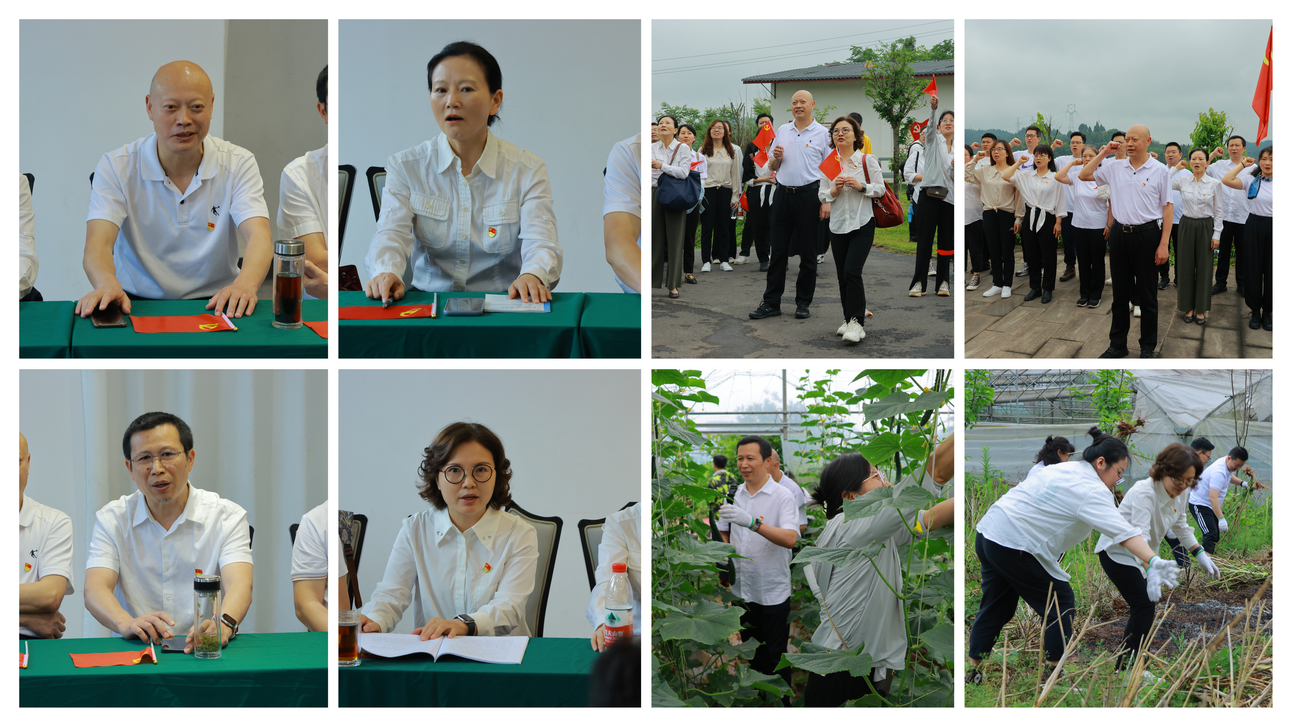 机关党委第二、第八党支部联合眼视光教工党支部开展主题党日活动