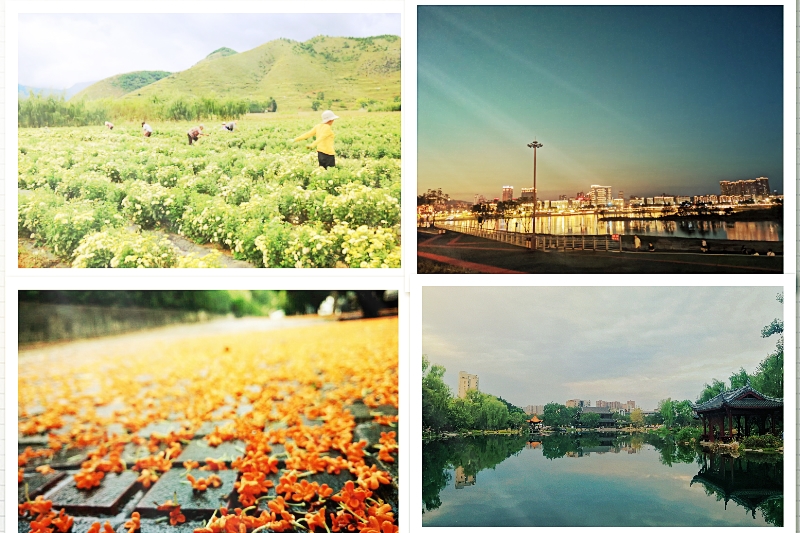 临床医学系开展学习十九届五中全会精神系列活动