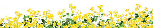 微信图片_20240315152503.png