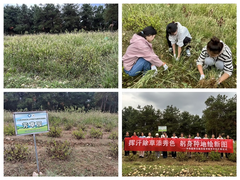 中西医结合临床医学院开展“挥汗除草添秀色,躬身种地绘新图”芳草园开园仪式