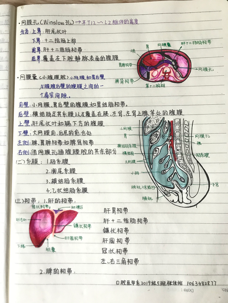 口腔医学系举办“建优良学风，树学习榜样”优秀笔记分享比赛