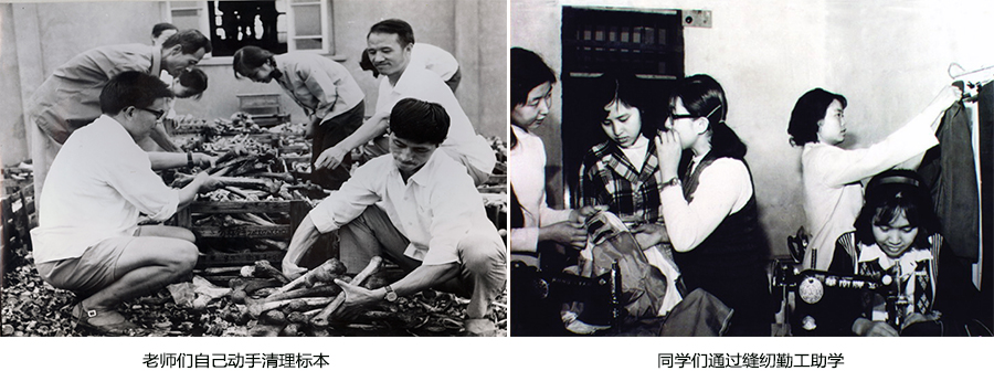 档案：见证、传承与弘扬