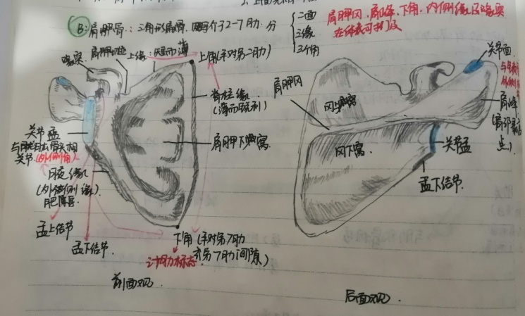 我校开展优秀课堂笔记评选活动