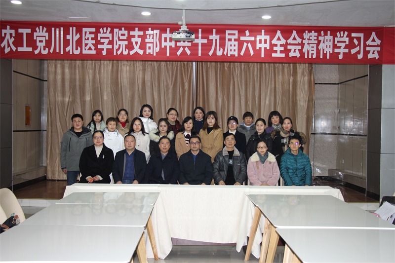 农工党学院支部召开中共十九届六中全会精神学习会