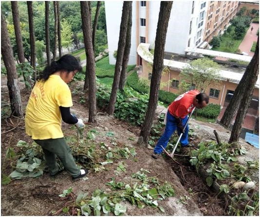 美丽校园的守护人