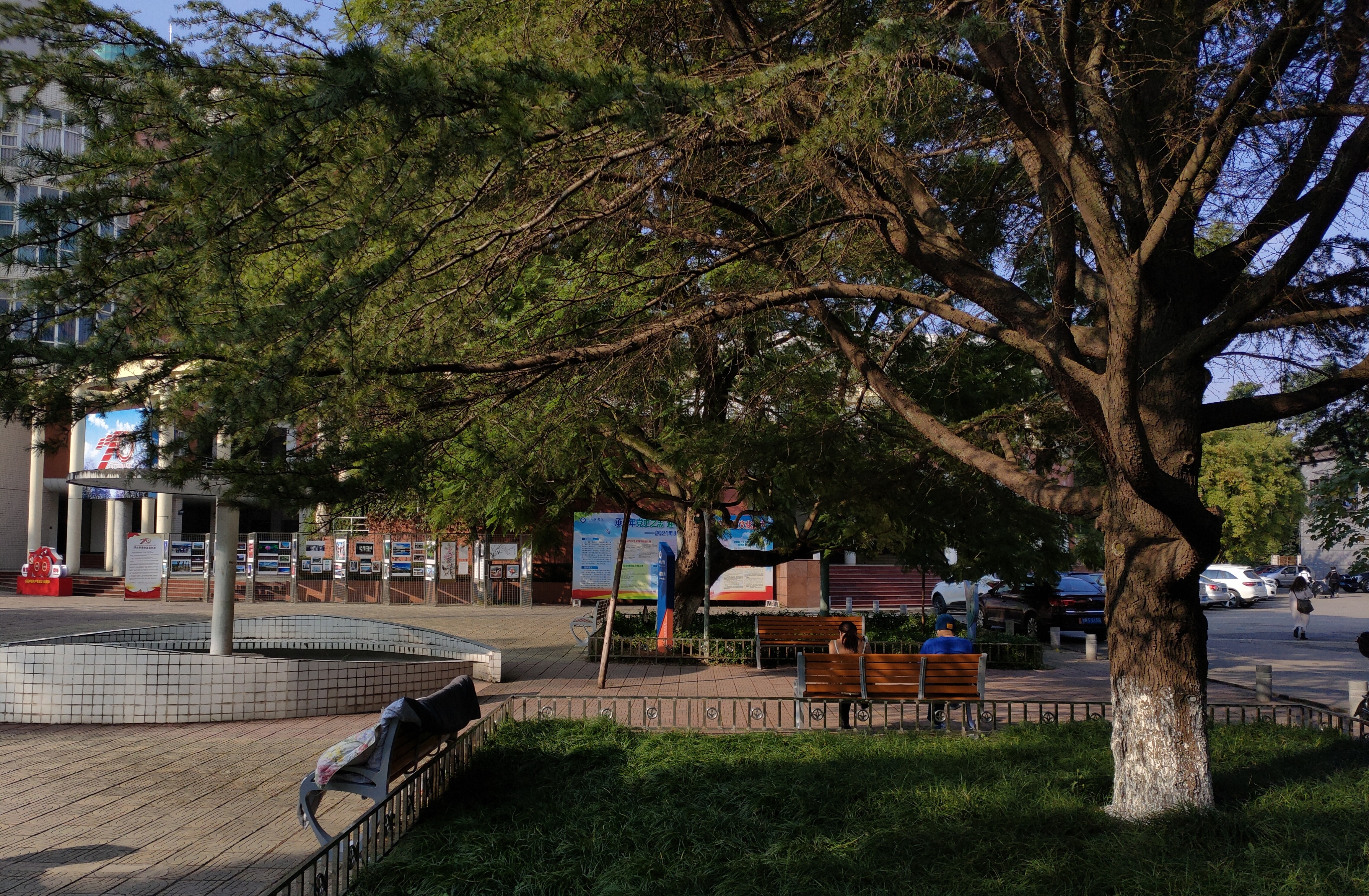 70年校庆中的校园风景