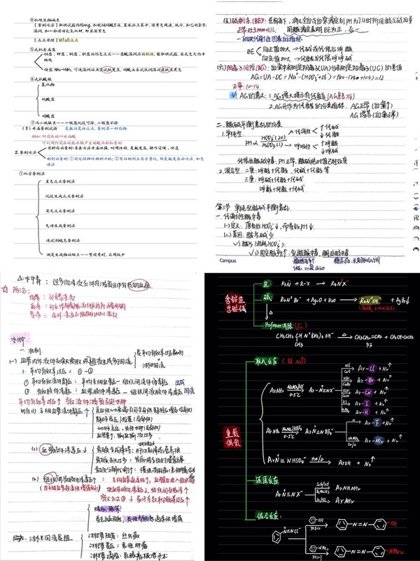 “智绘医韵,笔舞风华”——药学院开展最美笔记评选活动