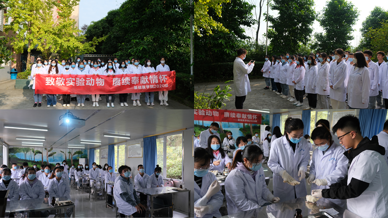 基础医学院开展“致敬实验动物，赓续奉献情怀”生命教育系列活动