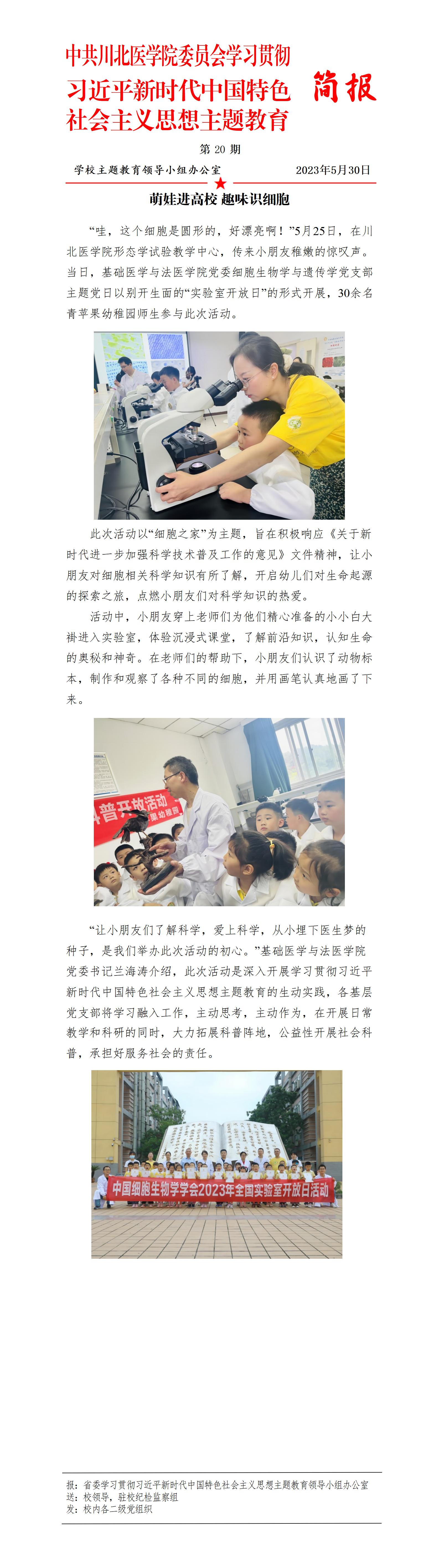 学习贯彻习近平新时代中国特色社会主义思想主题教育简报第20期