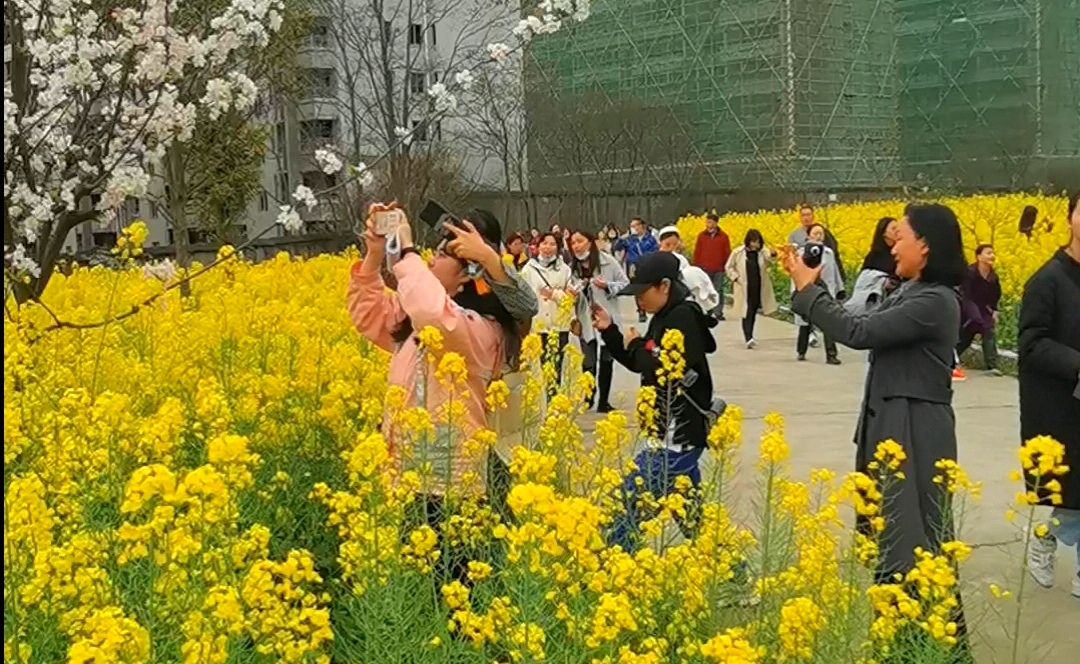 学校开展纪念“三八”妇女节环山健步走活动