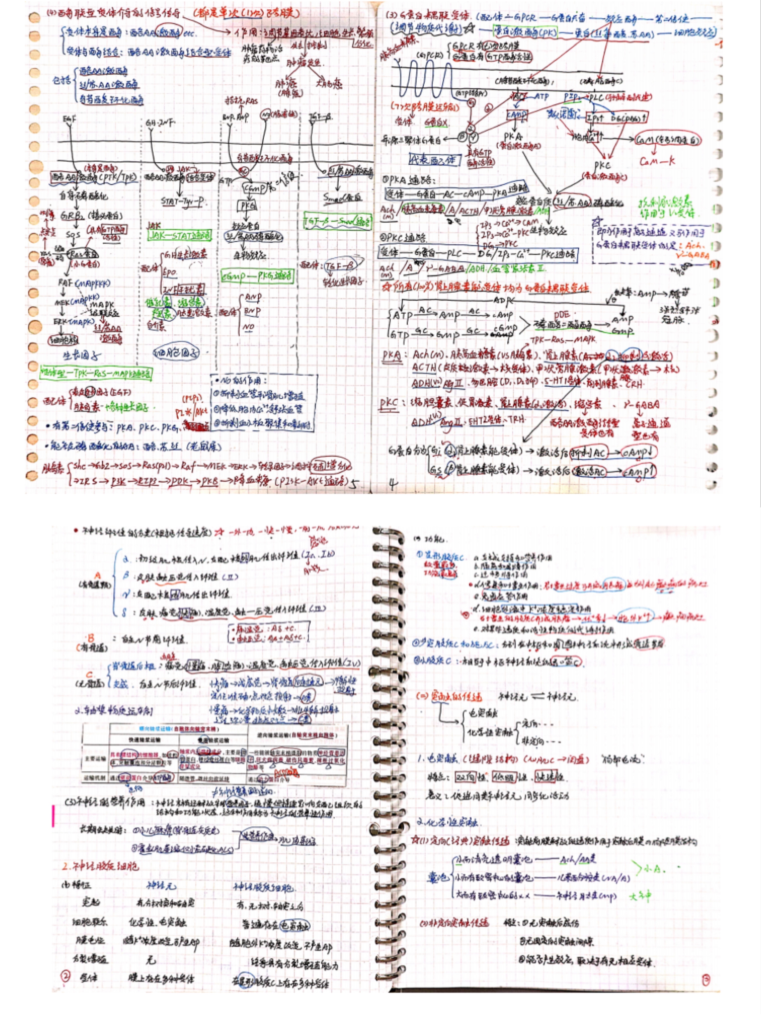与榜样同行：2022年考研学子之最美笔记（三）