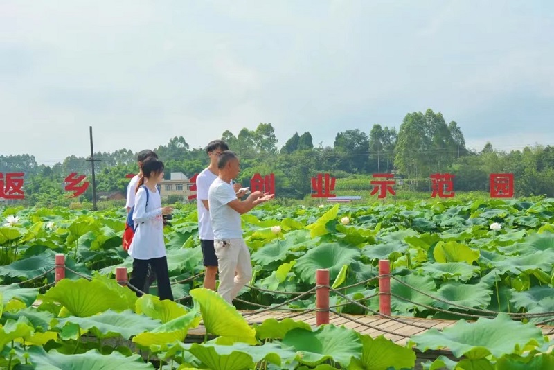 川北医学院荣获2021年全国大中专学生志愿者暑期“三下乡”社会实践“镜头中的三下乡”优秀组织单位称号