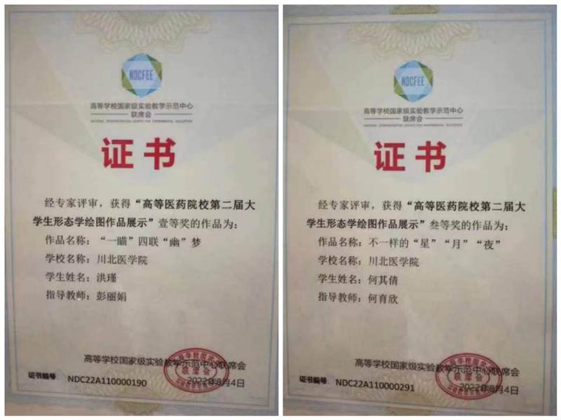 我校师生在全国高等医药院校比赛活动中获得佳绩