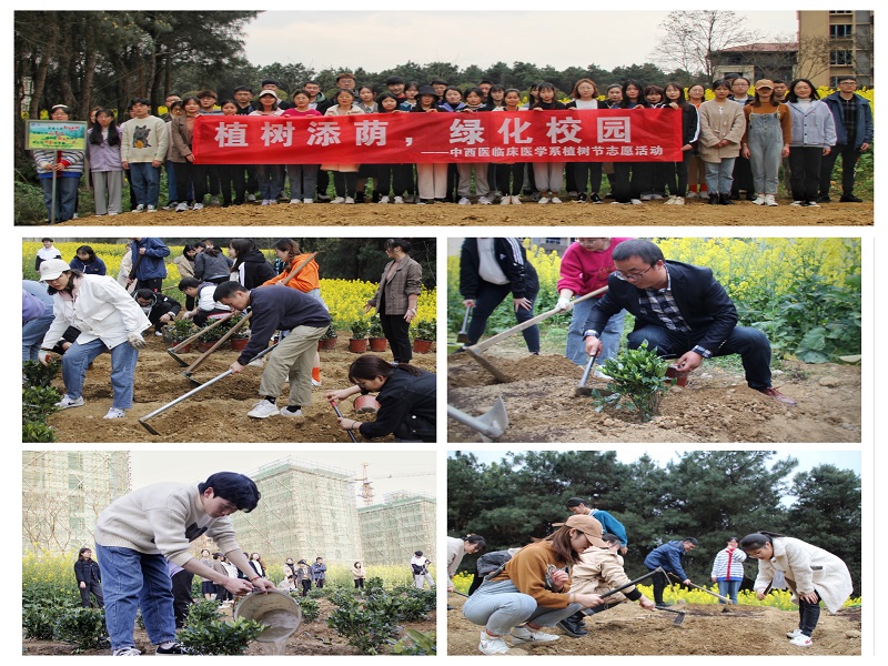 中西医临床医学系开展植树志愿活动