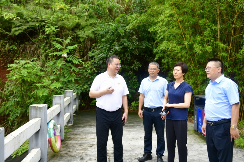 学校开展暑假前校园安全检查