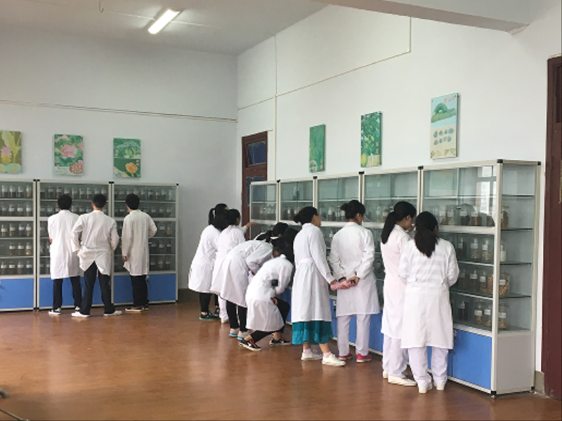 实验教学