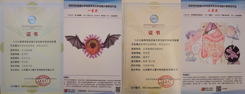 我校学子喜获全国高等学校大学生医学形态学绘图大赛一等奖