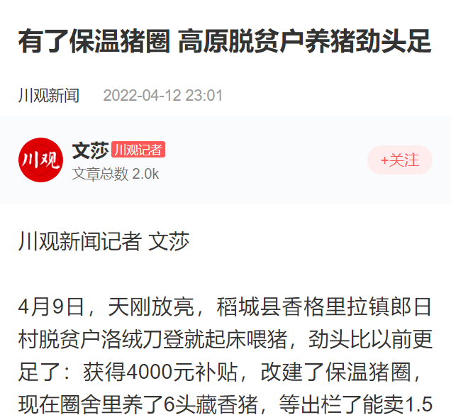 有了保温猪圈 高原脱贫户养猪劲头足