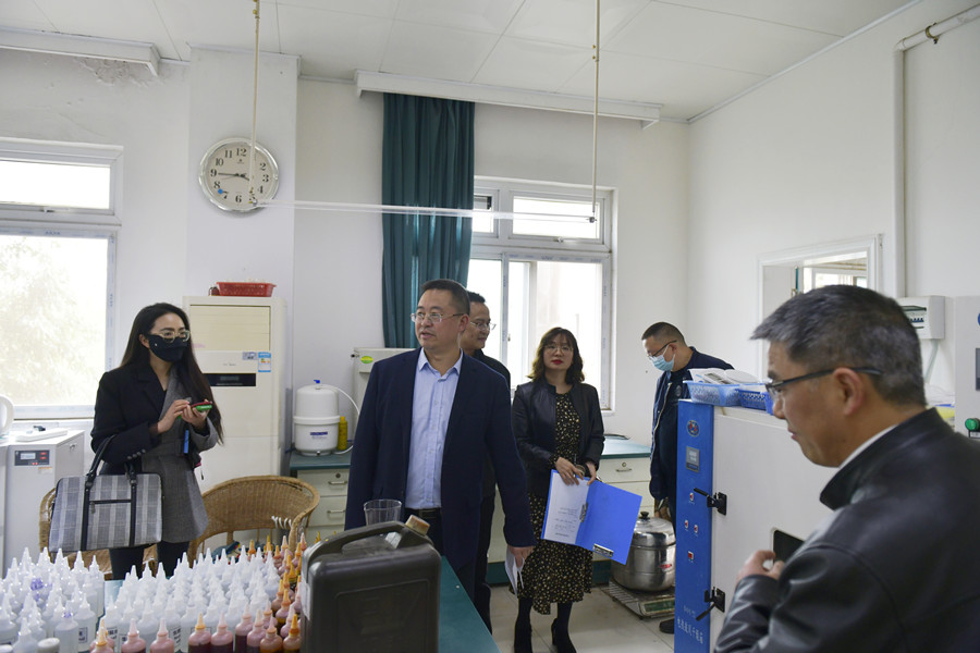 学校组织开展2022年清明节前校园安全检查