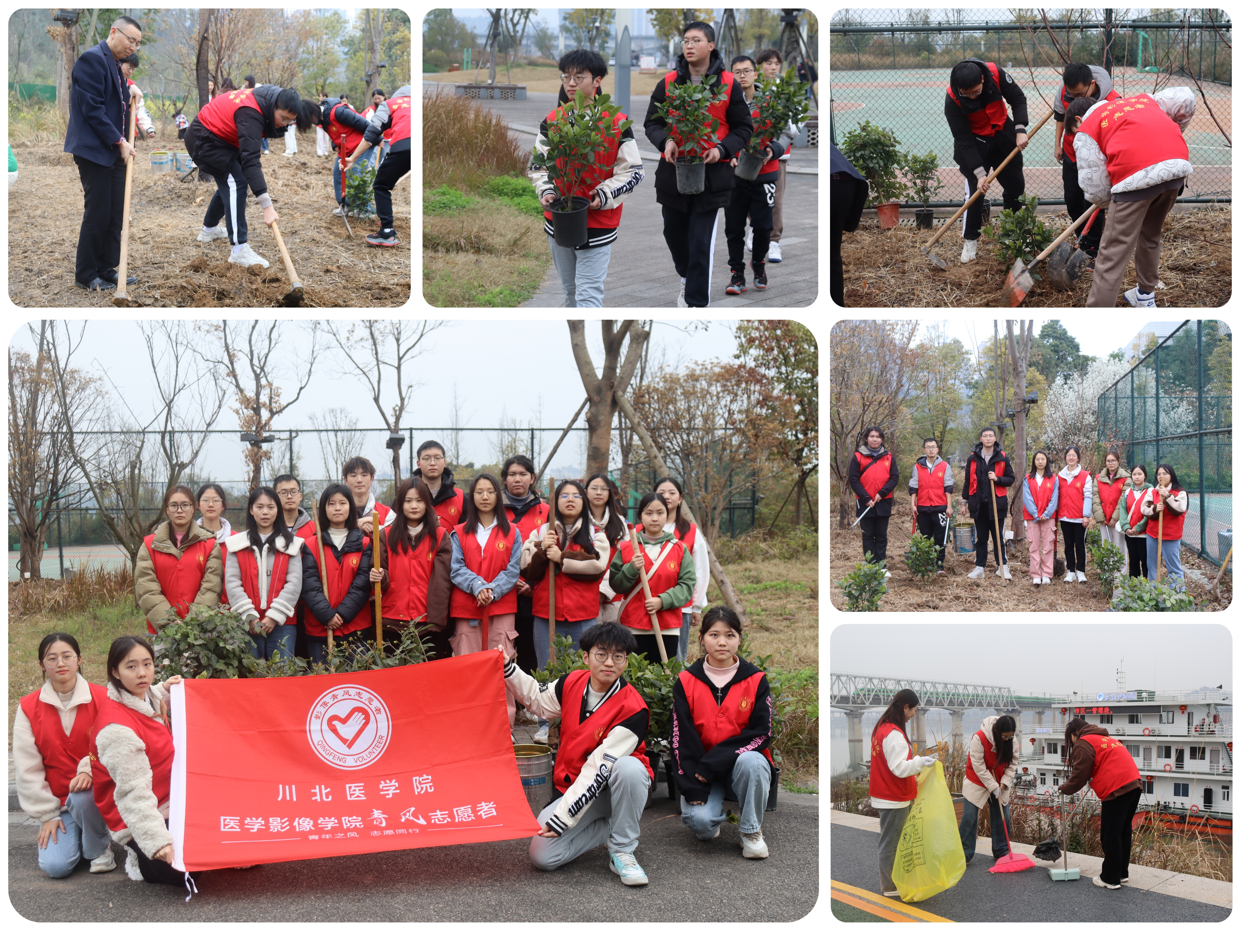 医学影像学院开展“弘扬雷锋精神 共筑绿色校园”义务植树活动