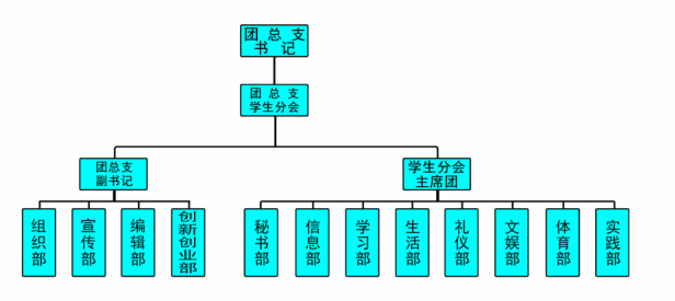 医学影像学院团总支学生分会工作制度