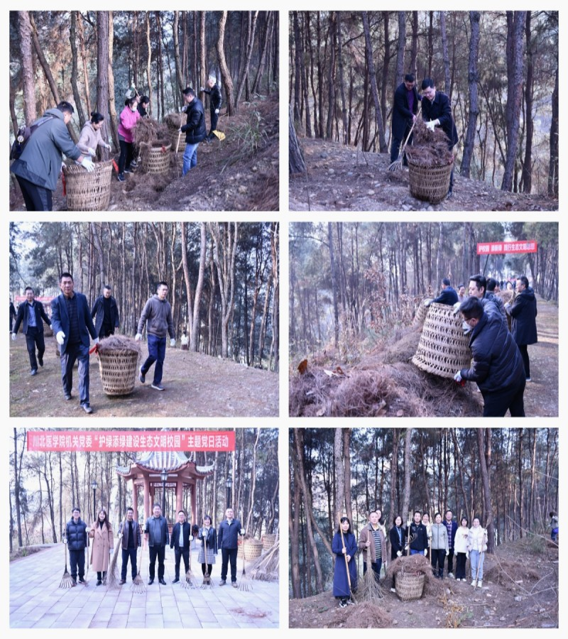 机关党委开展“护绿添绿建设生态文明校园”主题党日活动