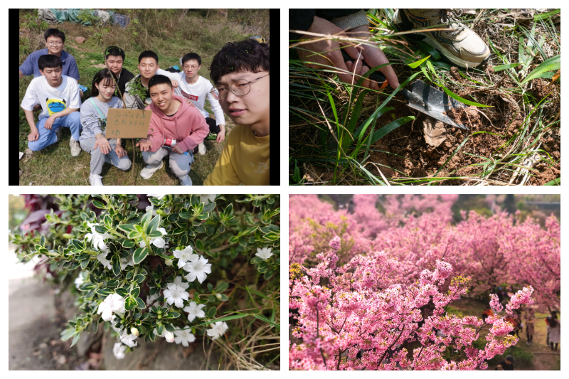 临床医学院举办“建绿色校园、树绿色理想”主题作品征集活动