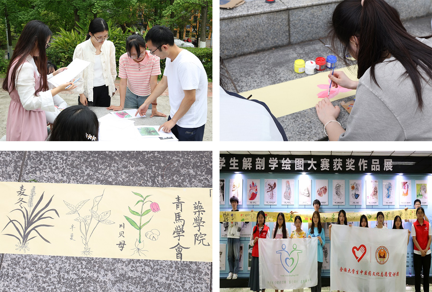 药学院举办“春色昙华林,芳草觅芳踪”中医药主题活动